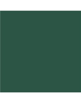 ESMALTE AL AGUA AQUALAC SATINADO (OFERTA) COLOR RAL 6028