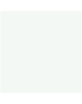 ESMALTE AL AGUA AQUALAC SATINADO (OFERTA) COLOR RAL 9003