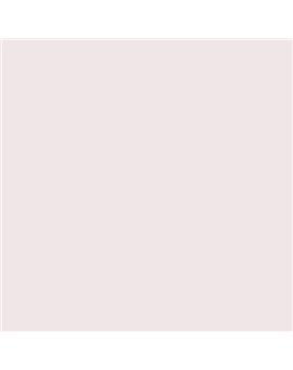 ESMALTE AL AGUA AQUALAC SATINADO (OFERTA) COLOR S 0505-R10B