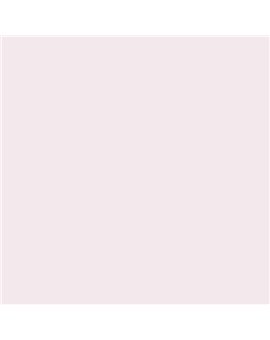 ESMALTE AL AGUA AQUALAC SATINADO (OFERTA) COLOR S 0505-R30B