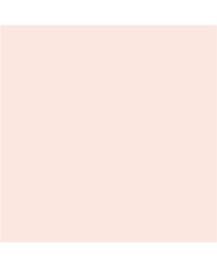 ESMALTE AL AGUA AQUALAC SATINADO (OFERTA) COLOR S 0507-Y80R
