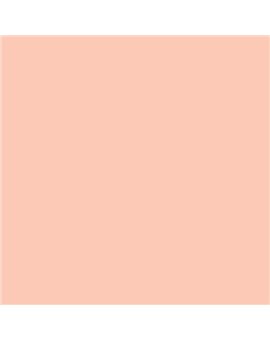 ESMALTE AL AGUA AQUALAC SATINADO (OFERTA) COLOR S 0520-Y70R