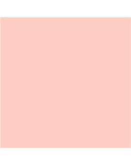 ESMALTE AL AGUA AQUALAC SATINADO (OFERTA) COLOR S 0520-Y90R