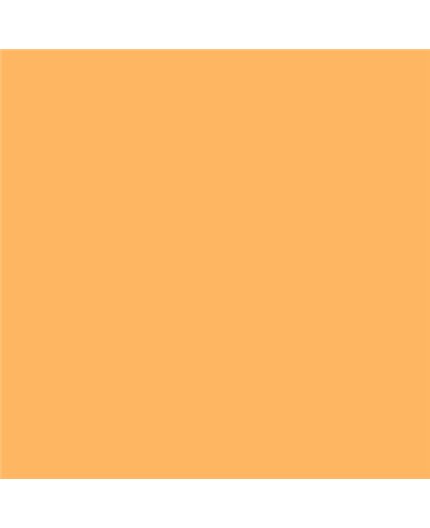ESMALTE AL AGUA AQUALAC SATINADO (OFERTA) COLOR S 0550-Y30R