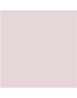 ESMALTE AL AGUA AQUALAC SATINADO (OFERTA) COLOR S 0907-R10B