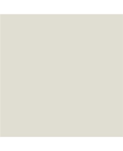 ESMALTE AL AGUA AQUALAC SATINADO (OFERTA) COLOR S 1002-Y