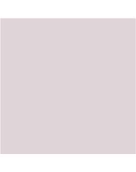 ESMALTE AL AGUA AQUALAC SATINADO (OFERTA) COLOR S 1005-R20B