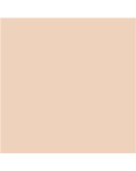 ESMALTE AL AGUA AQUALAC SATINADO (OFERTA) COLOR S 1010-Y50R