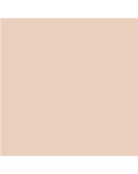 ESMALTE AL AGUA AQUALAC SATINADO (OFERTA) COLOR S 1010-Y60R