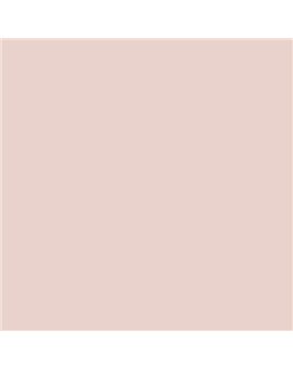 ESMALTE AL AGUA AQUALAC SATINADO (OFERTA) COLOR S 1010-Y90R