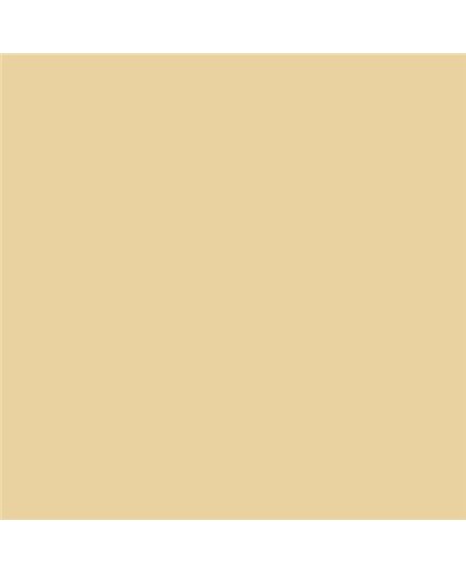 ESMALTE AL AGUA AQUALAC SATINADO (OFERTA) COLOR S 1020-Y10R