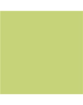 ESMALTE AL AGUA AQUALAC SATINADO (OFERTA) COLOR S 1040-G60Y