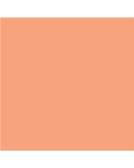 ESMALTE AL AGUA AQUALAC SATINADO (OFERTA) COLOR S 1040-Y60R