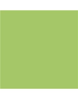 ESMALTE AL AGUA AQUALAC SATINADO (OFERTA) COLOR S 1050-G40Y