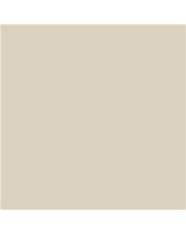ESMALTE AL AGUA AQUALAC SATINADO (OFERTA) COLOR S 1505-Y20R