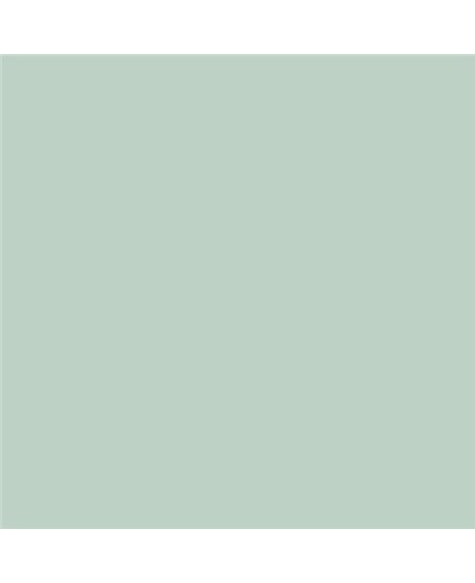 ESMALTE AL AGUA AQUALAC SATINADO (OFERTA) COLOR S 1510-G