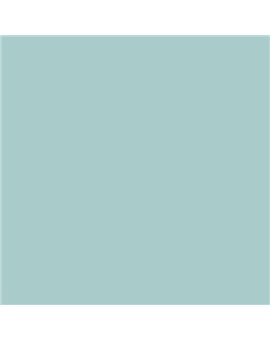ESMALTE AL AGUA AQUALAC SATINADO (OFERTA) COLOR S 1515-B50G