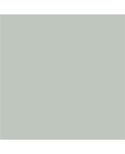 ESMALTE AL AGUA AQUALAC SATINADO (OFERTA) COLOR S 2005-G20Y