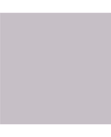 ESMALTE AL AGUA AQUALAC SATINADO (OFERTA) COLOR S 2005-R40B