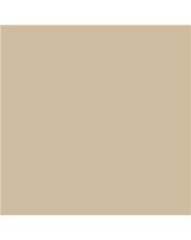 ESMALTE AL AGUA AQUALAC SATINADO (OFERTA) COLOR S 2010-Y20R