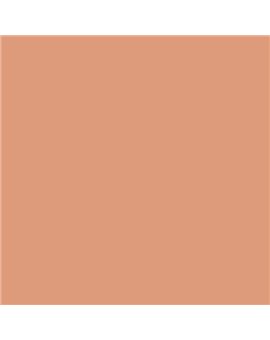 ESMALTE AL AGUA AQUALAC SATINADO (OFERTA) COLOR S 2030-Y60R
