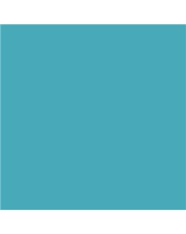 ESMALTE AL AGUA AQUALAC SATINADO (OFERTA) COLOR S 2040-B20G