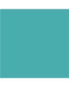 ESMALTE AL AGUA AQUALAC SATINADO (OFERTA) COLOR S 2040-B50G