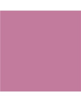 ESMALTE AL AGUA AQUALAC SATINADO (OFERTA) COLOR S 2040-R30B