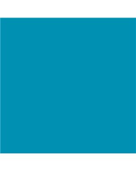 ESMALTE AL AGUA AQUALAC SATINADO (OFERTA) COLOR S 2055-B10G