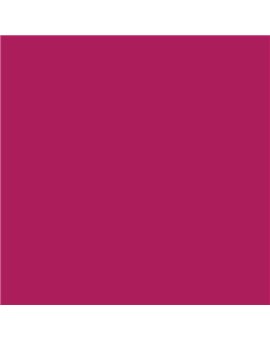 ESMALTE AL AGUA AQUALAC SATINADO (OFERTA) COLOR S 2065-R20B
