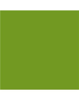 ESMALTE AL AGUA AQUALAC SATINADO (OFERTA) COLOR S 2070-G40Y