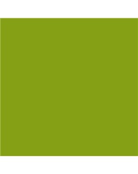 ESMALTE AL AGUA AQUALAC SATINADO (OFERTA) COLOR S 2070-G50Y
