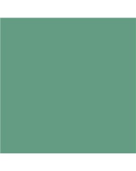 ESMALTE AL AGUA AQUALAC SATINADO (OFERTA) COLOR S 3030-G