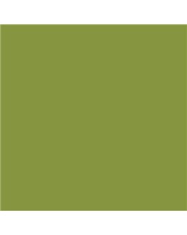 ESMALTE AL AGUA AQUALAC SATINADO (OFERTA) COLOR S 3050-G50Y