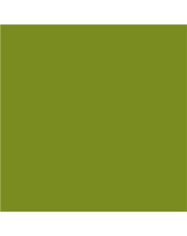 ESMALTE AL AGUA AQUALAC SATINADO (OFERTA) COLOR S 3060-G50Y