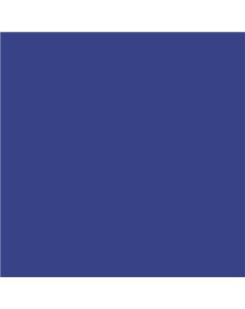ESMALTE AL AGUA AQUALAC SATINADO (OFERTA) COLOR S 4050-R70B