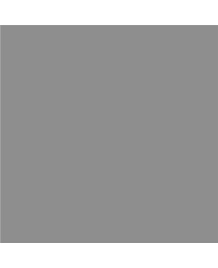 ESMALTE AL AGUA AQUALAC SATINADO (OFERTA) COLOR S 4500-N