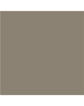 ESMALTE AL AGUA AQUALAC SATINADO (OFERTA) COLOR S 5005-Y20R