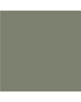 ESMALTE AL AGUA AQUALAC SATINADO (OFERTA) COLOR S 5010-G50Y