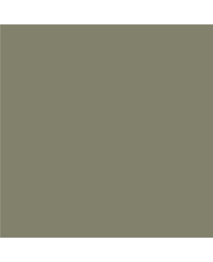 ESMALTE AL AGUA AQUALAC SATINADO (OFERTA) COLOR S 5010-G70Y