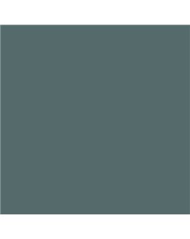 ESMALTE AL AGUA AQUALAC SATINADO (OFERTA) COLOR S 6010-B50G