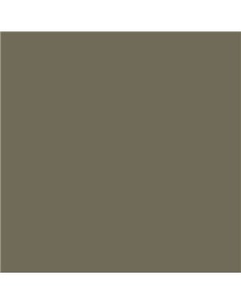 ESMALTE AL AGUA AQUALAC SATINADO (OFERTA) COLOR S 6010-G90Y