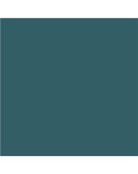 ESMALTE AL AGUA AQUALAC SATINADO (OFERTA) COLOR S 6020-B30G