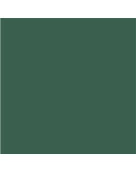 ESMALTE AL AGUA AQUALAC SATINADO (OFERTA) COLOR S 6020-G