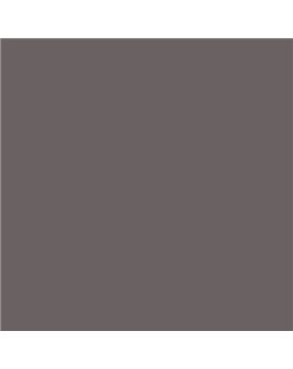 ESMALTE AL AGUA AQUALAC SATINADO (OFERTA) COLOR S 6502-R