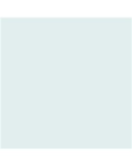 ESMALTE AL AGUA AQUALAC MATE (OFERTA) COLOR S 0505-B50G