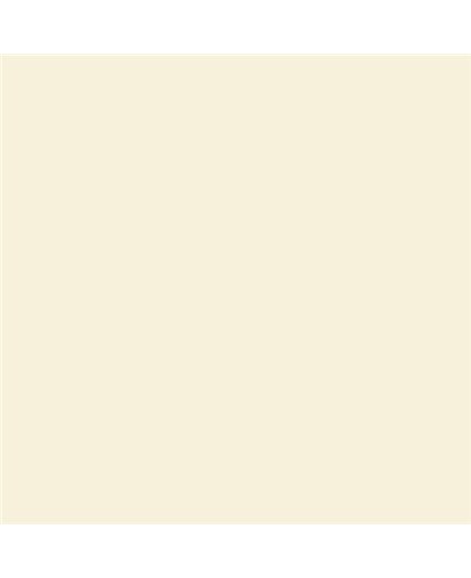 ESMALTE AL AGUA AQUALAC MATE (OFERTA) COLOR S 0505-Y