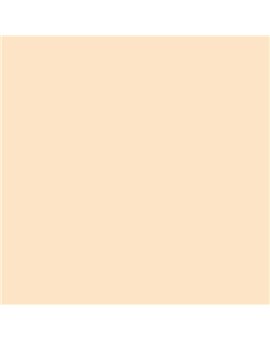ESMALTE AL AGUA AQUALAC MATE (OFERTA) COLOR S 0510-Y40R