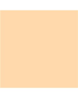 ESMALTE AL AGUA AQUALAC MATE (OFERTA) COLOR S 0520-Y30R