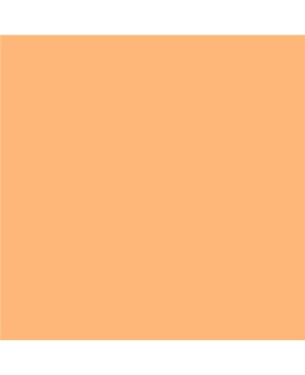 ESMALTE AL AGUA AQUALAC MATE (OFERTA) COLOR S 0540-Y40R